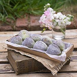 Epic喜加一：《追踪地平线》免费领取